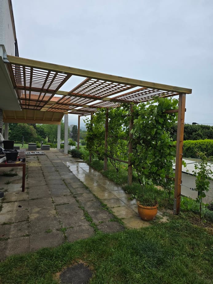 Pergola en bois couverte de vigne au dessus d'une terrasse dallée, La Côte vaudoise